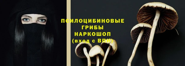ПСИЛОЦИБИНОВЫЕ ГРИБЫ Абинск