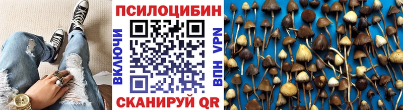 ссылка на мегу ССЫЛКА  наркошоп  Лысково  Псилоцибиновые грибы ЛСД 